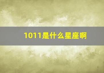 1011是什么星座啊