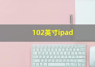 102英寸ipad