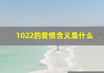 1022的爱情含义是什么