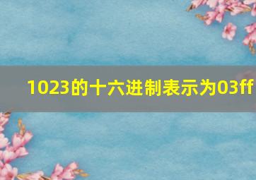 1023的十六进制表示为03ff