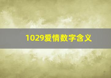 1029爱情数字含义