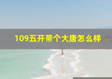 109五开带个大唐怎么样