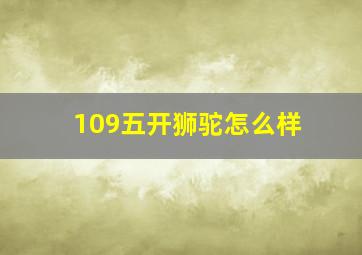 109五开狮驼怎么样