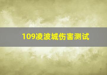 109凌波城伤害测试