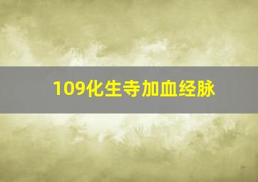 109化生寺加血经脉