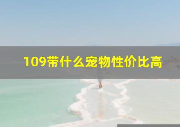 109带什么宠物性价比高