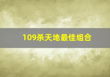 109杀天地最佳组合