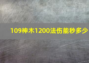 109神木1200法伤能秒多少