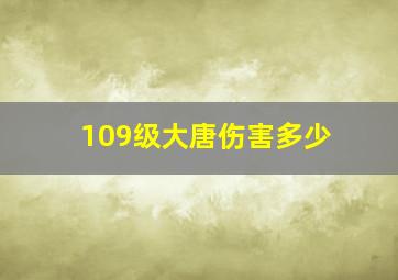 109级大唐伤害多少