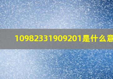 10982331909201是什么意思?