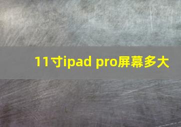 11寸ipad pro屏幕多大