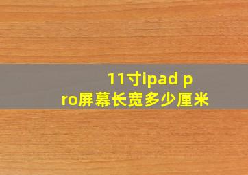 11寸ipad pro屏幕长宽多少厘米