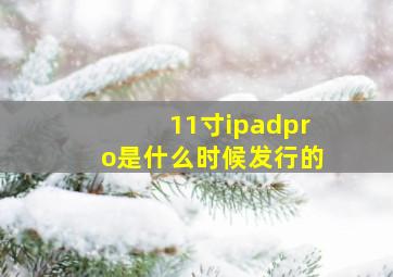 11寸ipadpro是什么时候发行的