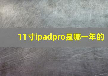 11寸ipadpro是哪一年的