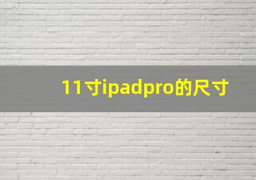 11寸ipadpro的尺寸