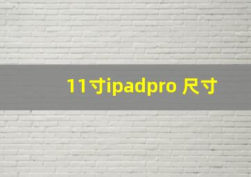 11寸ipadpro 尺寸