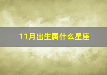 11月出生属什么星座