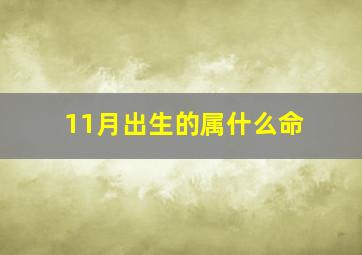 11月出生的属什么命