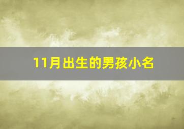 11月出生的男孩小名