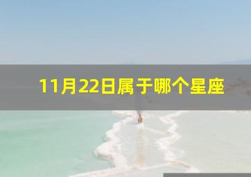 11月22日属于哪个星座