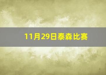 11月29日泰森比赛