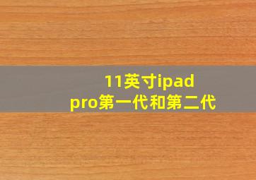 11英寸ipad pro第一代和第二代