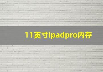 11英寸ipadpro内存