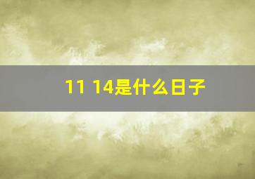 11 14是什么日子