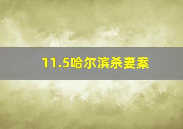 11.5哈尔滨杀妻案