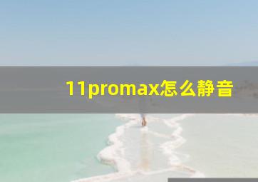 11promax怎么静音