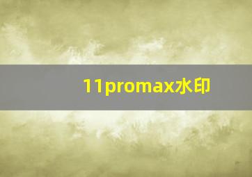 11promax水印