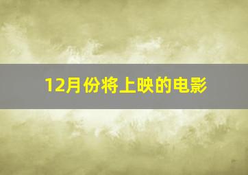 12月份将上映的电影