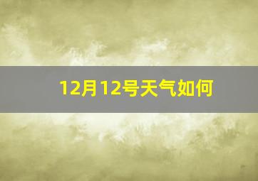 12月12号天气如何