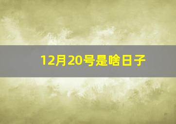 12月20号是啥日子