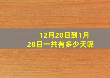 12月20日到1月28日一共有多少天呢