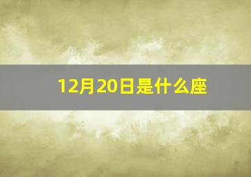 12月20日是什么座