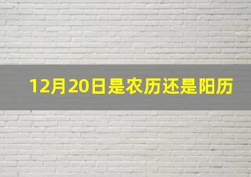 12月20日是农历还是阳历