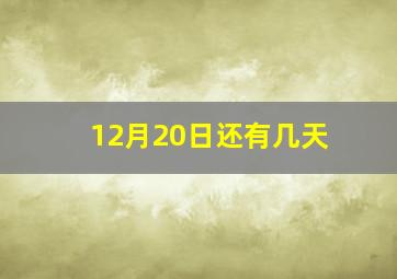 12月20日还有几天