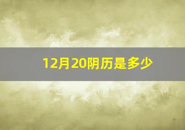 12月20阴历是多少