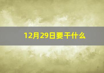 12月29日要干什么