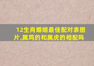 12生肖婚姻最佳配对表图片,属鸡的和属虎的相配吗