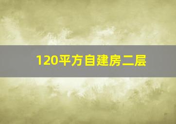 120平方自建房二层