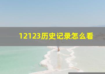 12123历史记录怎么看