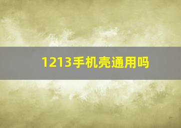 1213手机壳通用吗