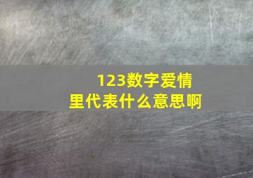 123数字爱情里代表什么意思啊