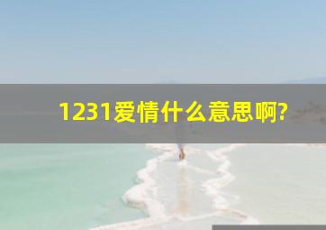 1231爱情什么意思啊?