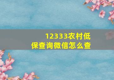 12333农村低保查询微信怎么查