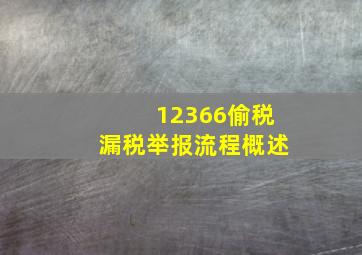 12366偷税漏税举报流程概述