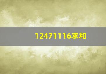 12471116求和