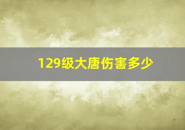 129级大唐伤害多少